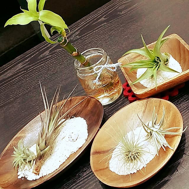 nontaxxxさんの実例写真