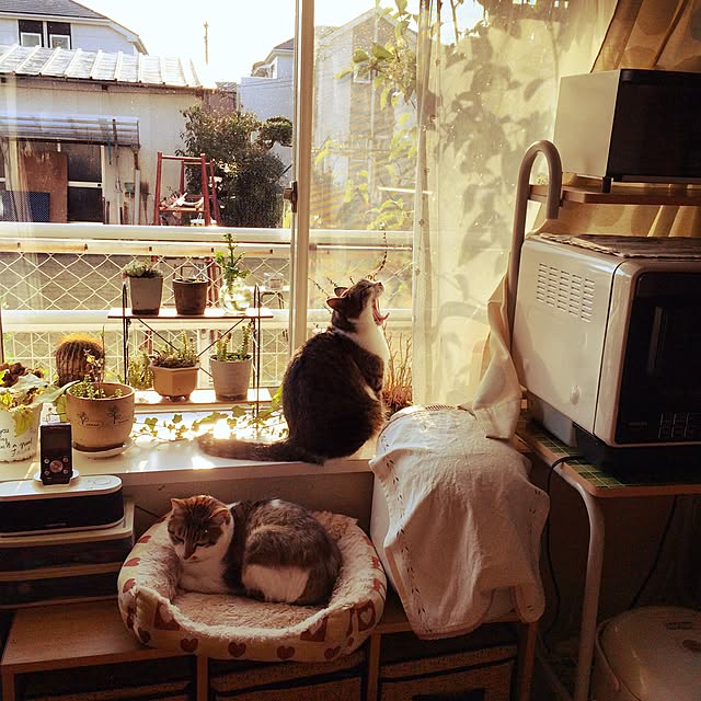 marimon24さんの実例写真