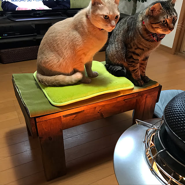 mikan161さんの実例写真