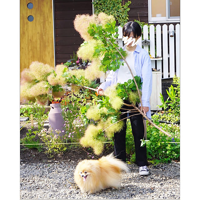 naho81078さんの実例写真