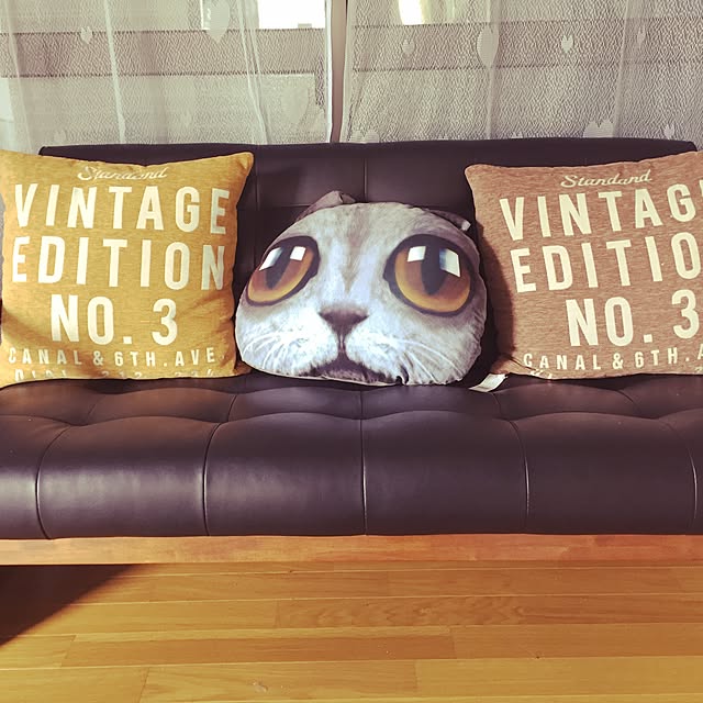 Chihoさんの実例写真