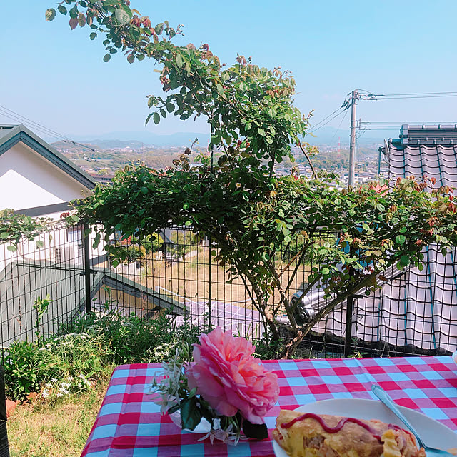 気をつけてお過ごし下さい！/ステイホーム/バフ・ビューティー/ベランダ/部屋全体のインテリア実例 - 2020-04-30 22:25:41