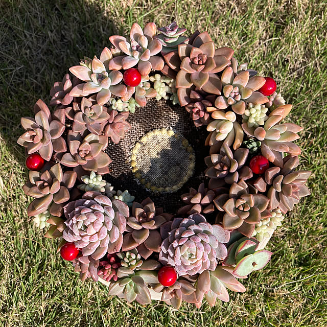 mkmkmoominさんの部屋