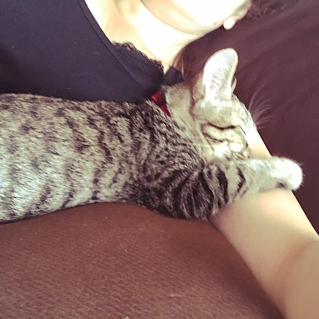 emikoさんの実例写真