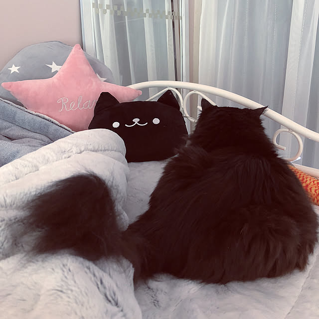 kanaさんの実例写真