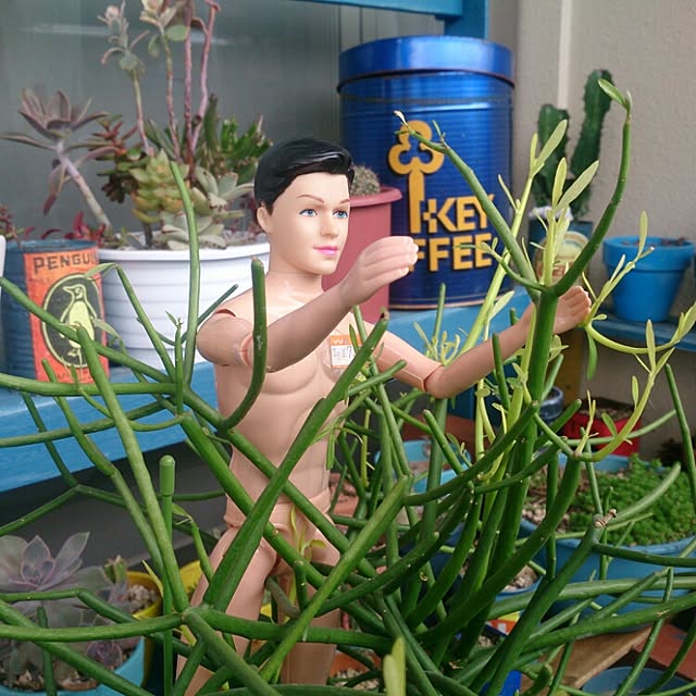 YOUさんの実例写真