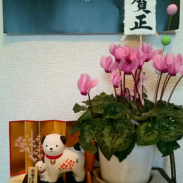 ucaさんの実例写真