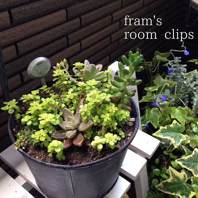 framさんの実例写真