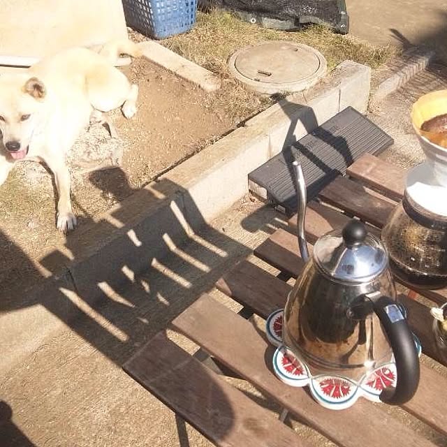 mugiinaさんの実例写真