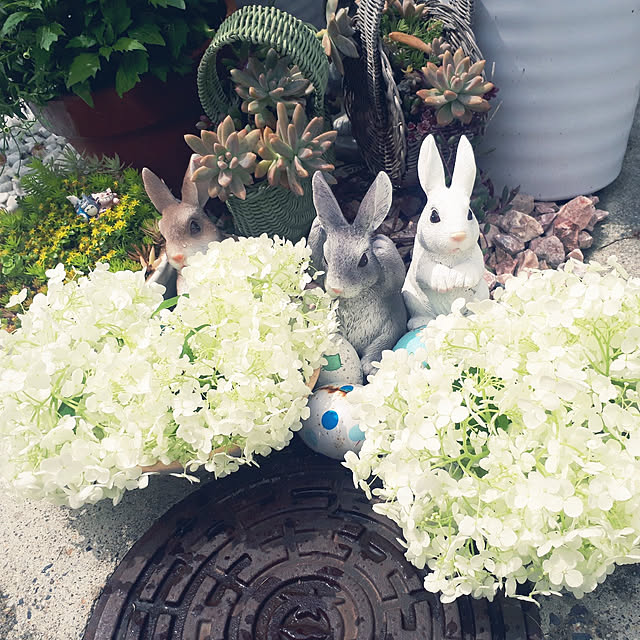 aiさんの実例写真