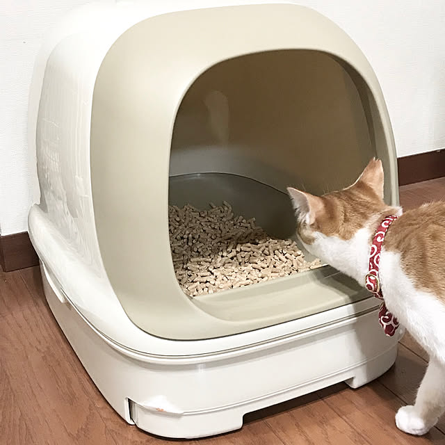 kaniさんの実例写真