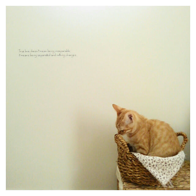 mayutan.さんの実例写真