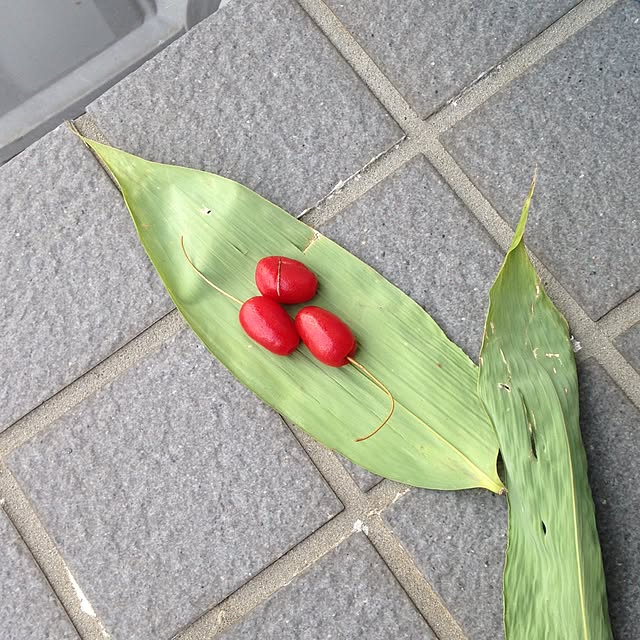 putycaさんの実例写真
