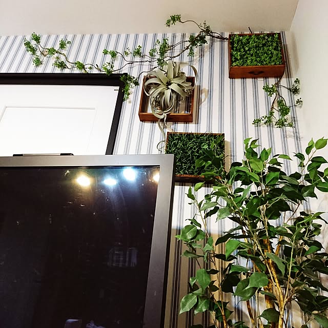 DMRKさんの実例写真
