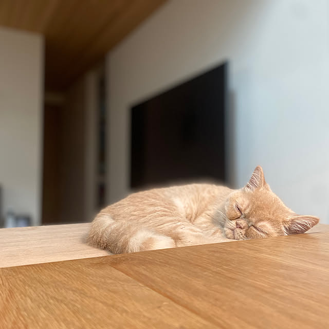 sznoieさんの部屋