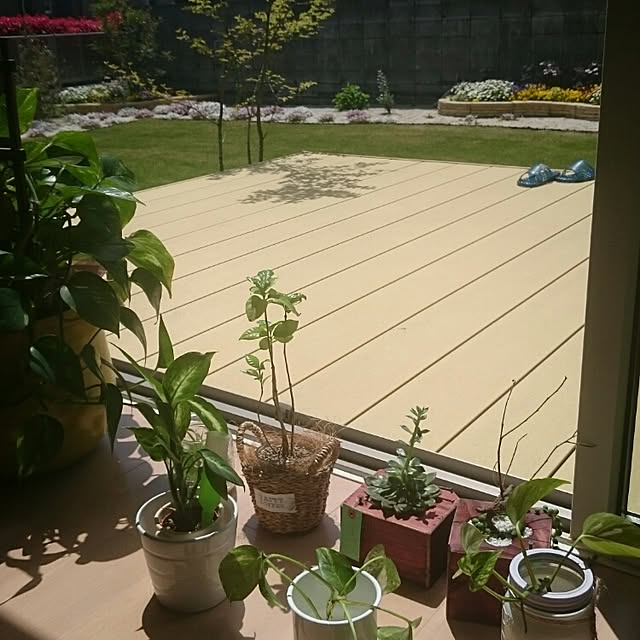yaikoさんの実例写真