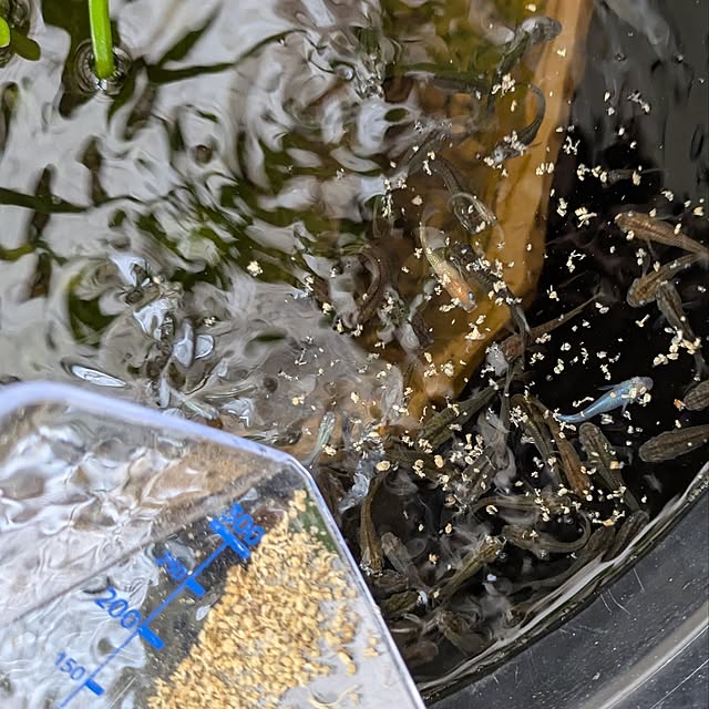 mi-saさんの部屋