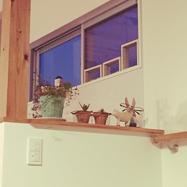 部屋全体/観葉植物/DIY/100均のインテリア実例 - 2015-01-14 17:42:27