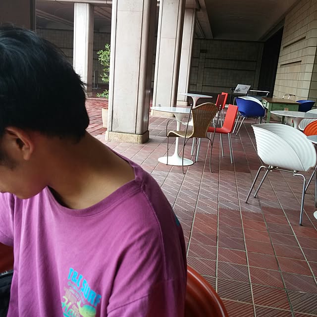 実例写真