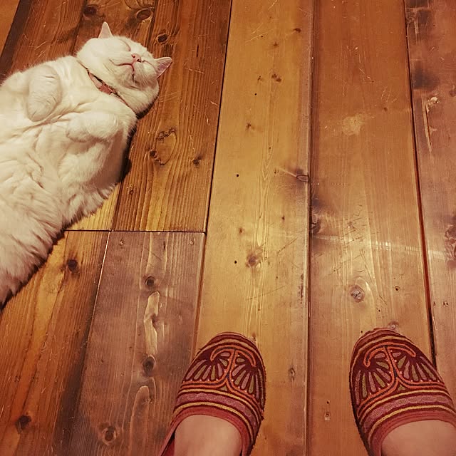 matatabi88さんの実例写真