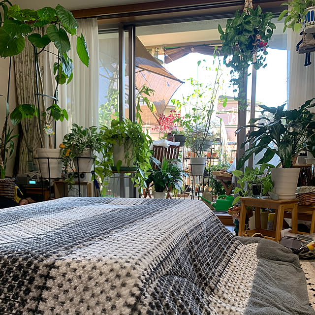 Aqettyさんの部屋