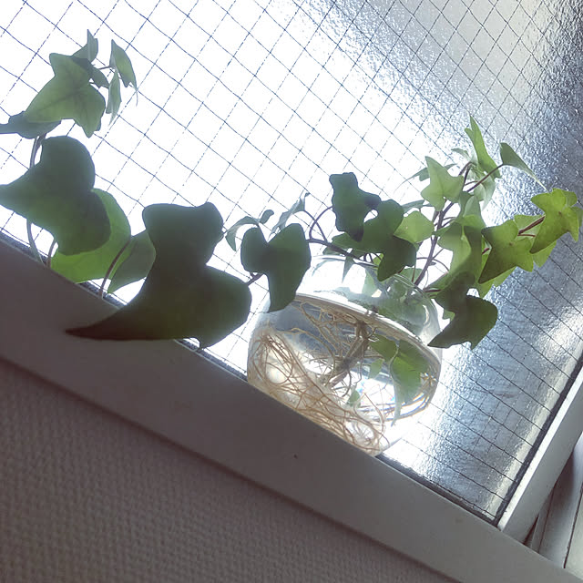 EggPlantさんの実例写真