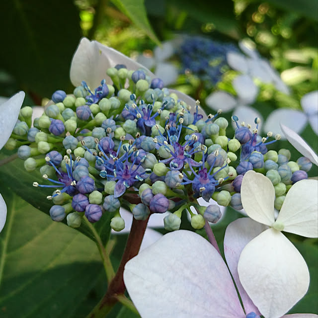 caramelさんの実例写真