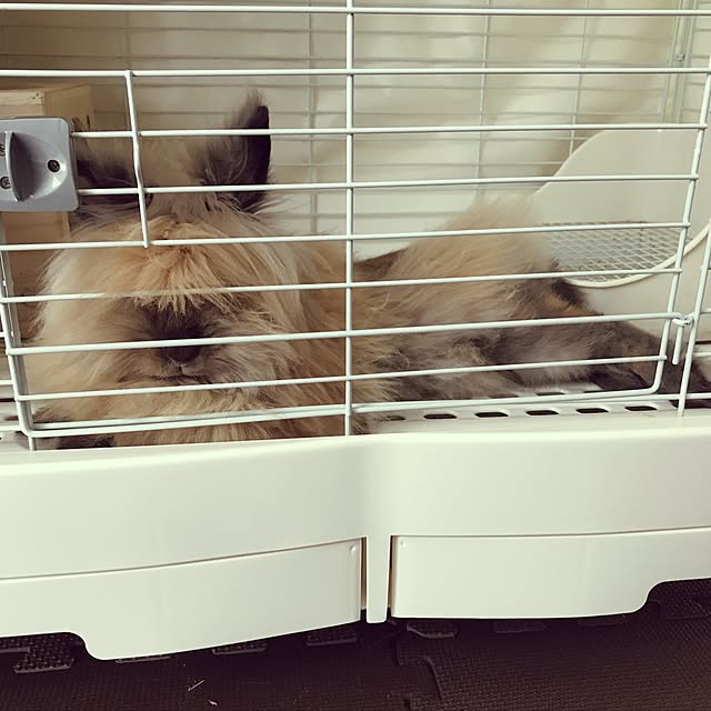 mさんの実例写真