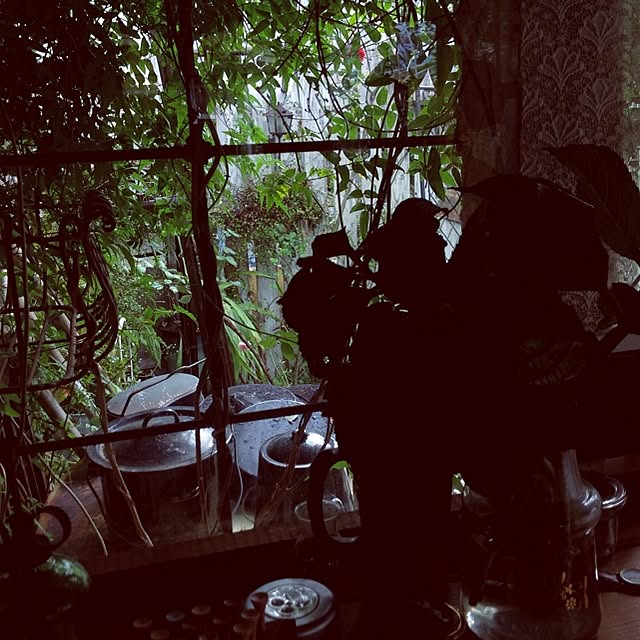 popoさんの実例写真