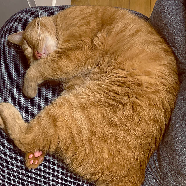 rumiさんの実例写真