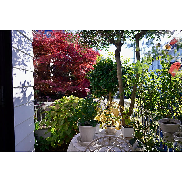 haruisabelさんの部屋