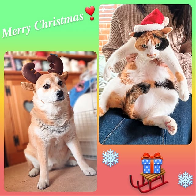 nanaさんの実例写真