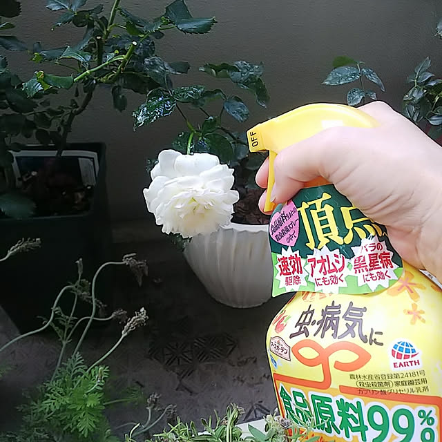 hiromimiさんの実例写真