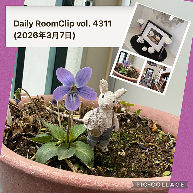 Aqettyさんの部屋