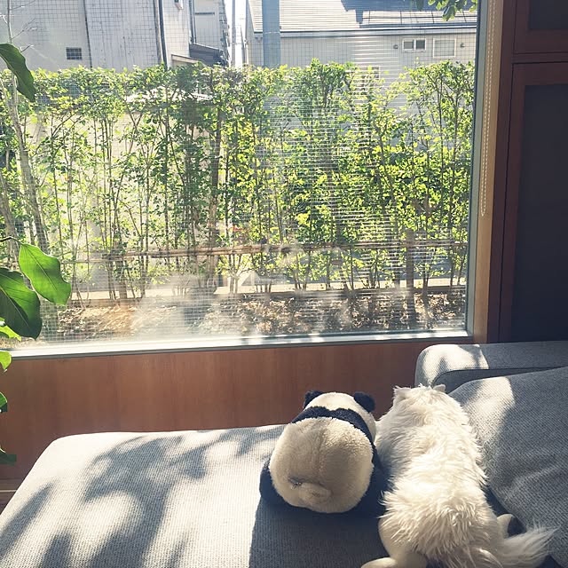 kuuさんの実例写真