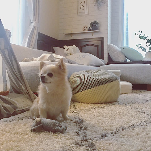 ponさんの実例写真