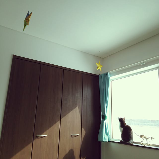 iwakoさんの実例写真