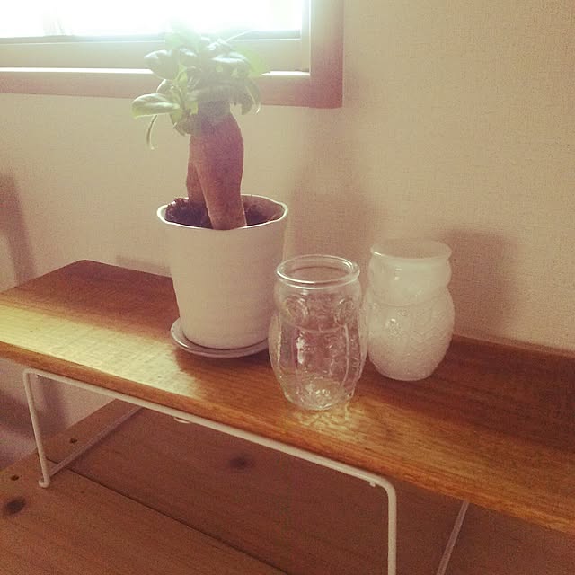 kakeyaさんの実例写真