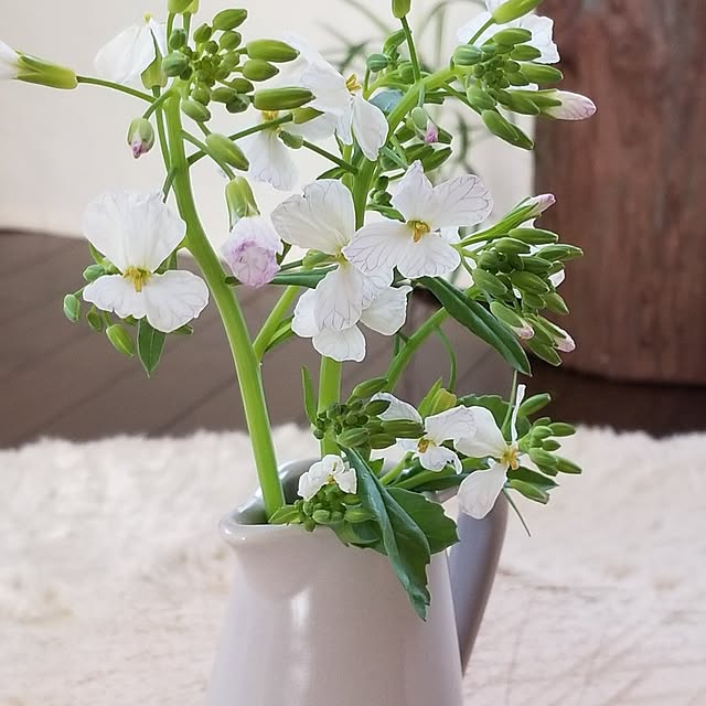 midoriさんの部屋