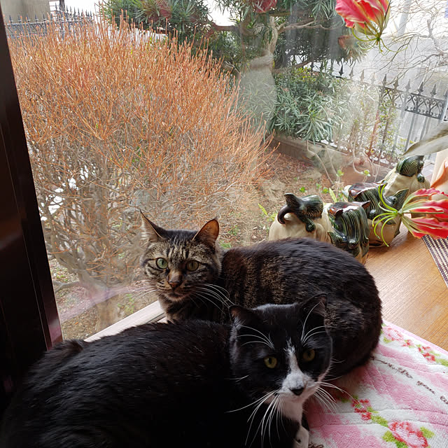 Mayumi8888さんの実例写真