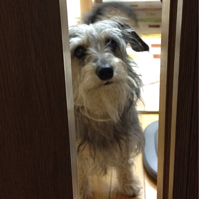 makiさんの実例写真