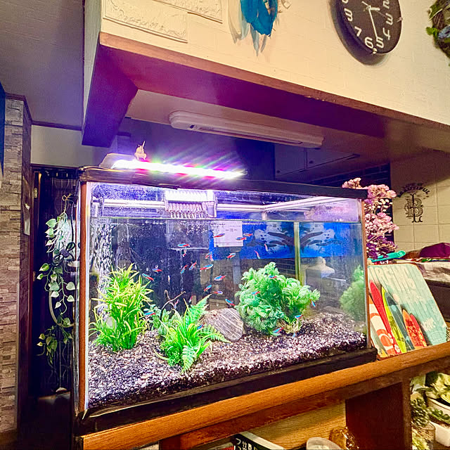 tututu0204さんの部屋