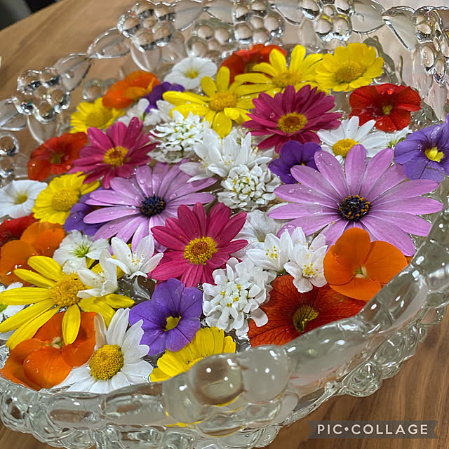 Smilkazuさんの部屋