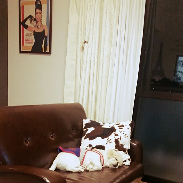 yukaiさんの実例写真