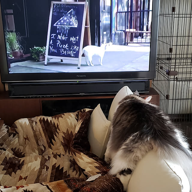 mofさんの実例写真