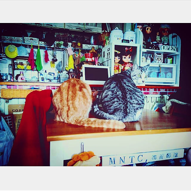 mntcさんの実例写真