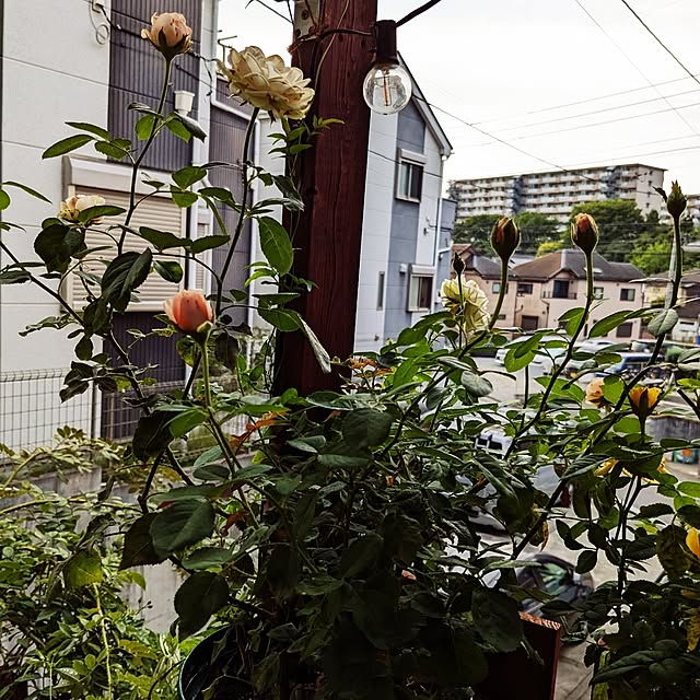 kazuさんの部屋