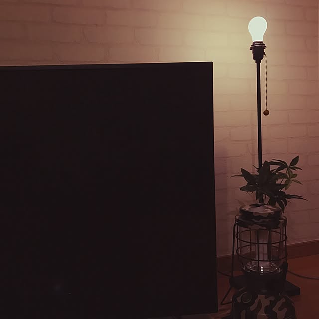 74toshiさんの実例写真