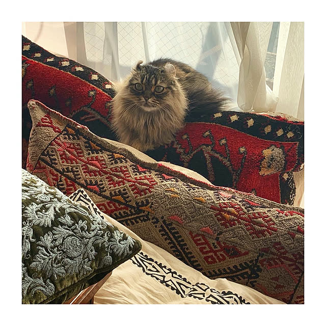 louisさんの実例写真