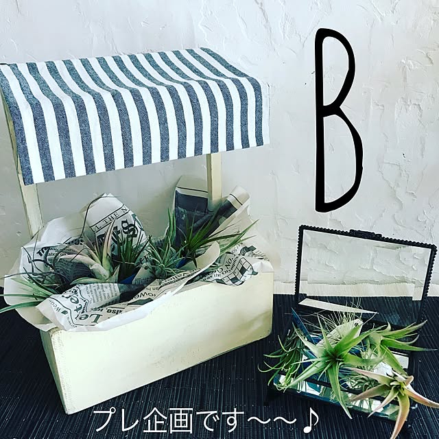 susanさんの実例写真